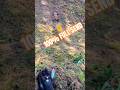 AXIAL RYFT 100 FULL SEND AXIAL RYFT 100 FULL SEND