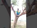 wait for end#comedy #funnyvideo #trending ..#short