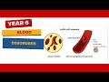Common Blood Disorders Explained for Kids!