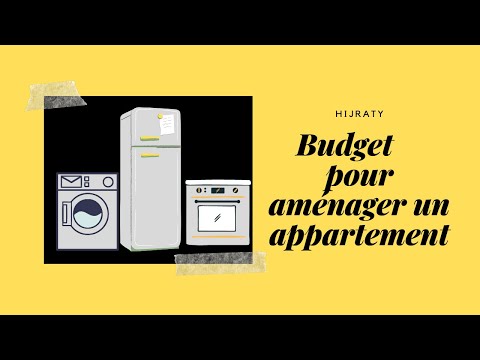 Vidéo: Quels Appareils électroménagers Acheter Dans Un Nouvel Appartement
