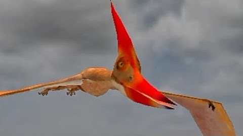 Wild dinosaur hunting zoo Games android gameplay part-7