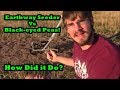 Earthway Seeder vs 800 yards of Black-Eyed Peas! Earthway Unboxing and Review