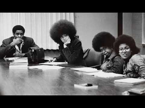 Angela Davis speaks on Organization and Political Prisoners (1973)