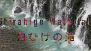 【SHIRAHIGE WATERFALL】 白ひげの滝 & FUDO NO TAKI 白金不動の滝 【SHIRAHIGE WATERFALL】 白ひげの滝 & FUDO NO TAKI 白金不動の滝