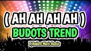 Ah Ah Ah Budots Viral | 2024 | DjRedern Mark Remix