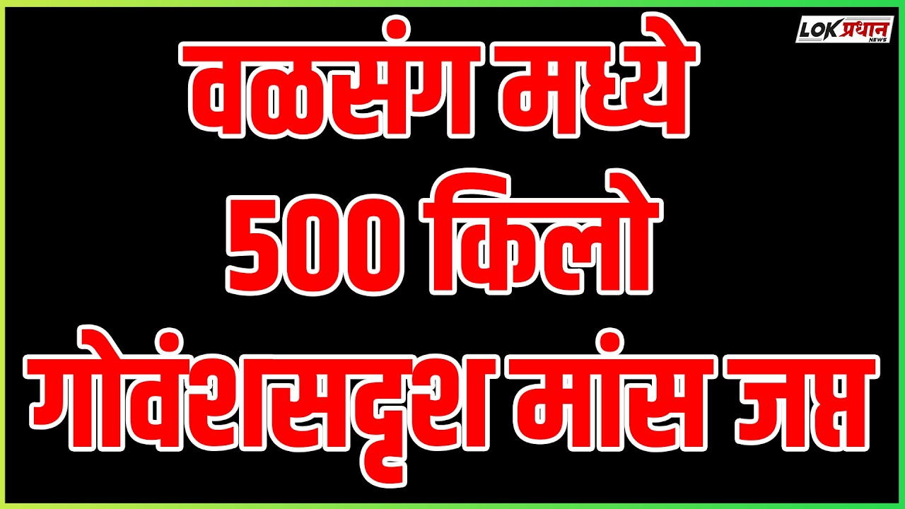 वळसंगमध्ये ५०० किलो गोवंशसदृश मांस जप्त; पाच जणांवर गुन्हा दाखल..