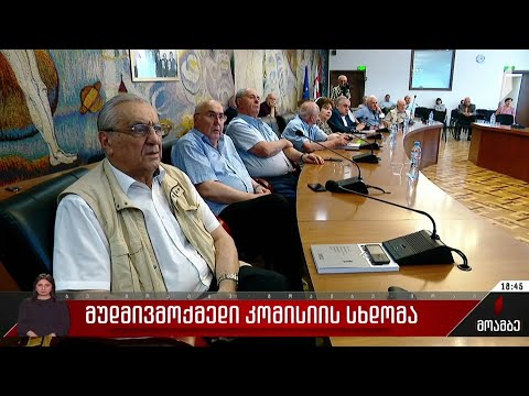 მუდმივმოქმედი კომისიის სხდომა