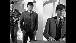 The Animals - House of the Rising Sun (1964)   clip comp. 60  YEARS ❤ 🎶⭐
