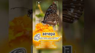 Вечера счастливого! #shortvideo #добрыйвечер #пожелания #music #youtube #бабочка #лето #цветы