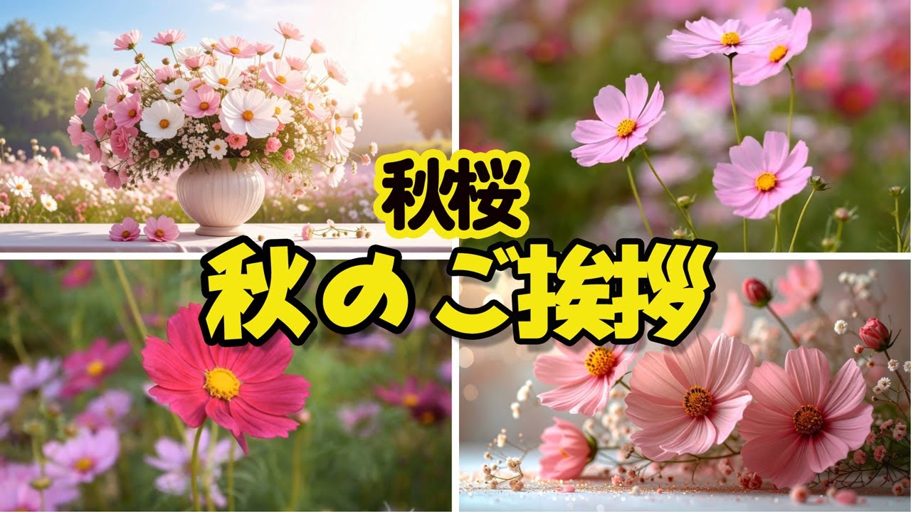 しょりん❣️秋、お月見、コスモス、もみじ、お団子、薔薇、アレンジ❁⃘*.゜ 秋の挨拶動画】 コスモスの花 9月のカード - YouTube