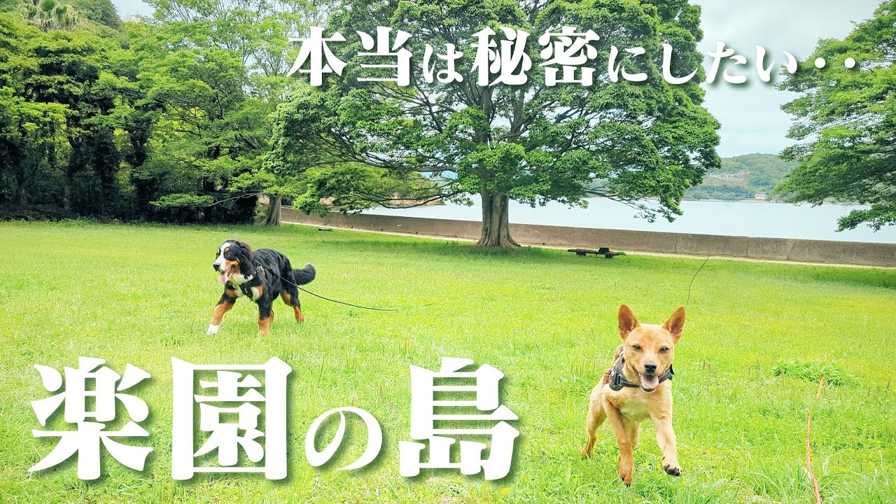 【秘密】しまなみに楽園がありました!テオとヨー大興奮!教えたくないけど教えちゃうYouTuberのカルマ・・。 - YouTube