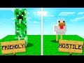 WORLD'S MOST FAKE MINECRAFT VIDEO!