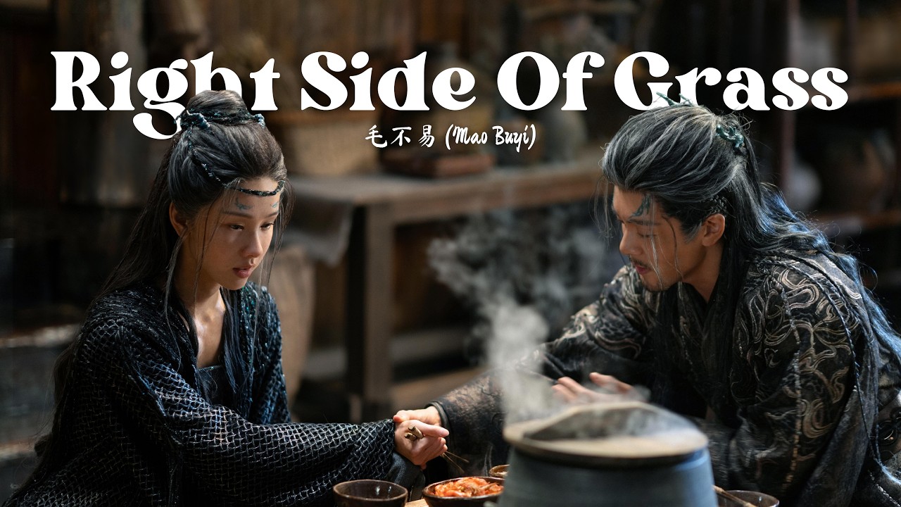 草右- Right Side Of Grass》 - 毛不易(Mao Buyi) | Veil Of Shadows