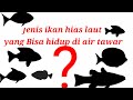 jenis ikan hias laut yang bisa hidup di air tawar  #aquariumlaut#aquariumairtawar#