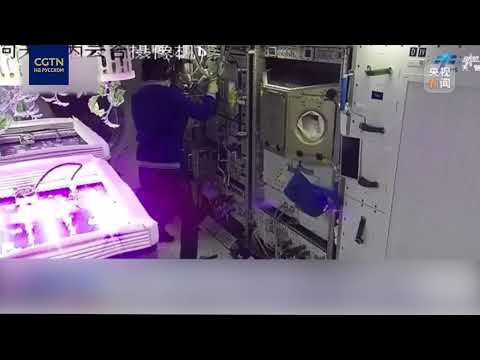 Шэньчжоу-18: месяц в космосе