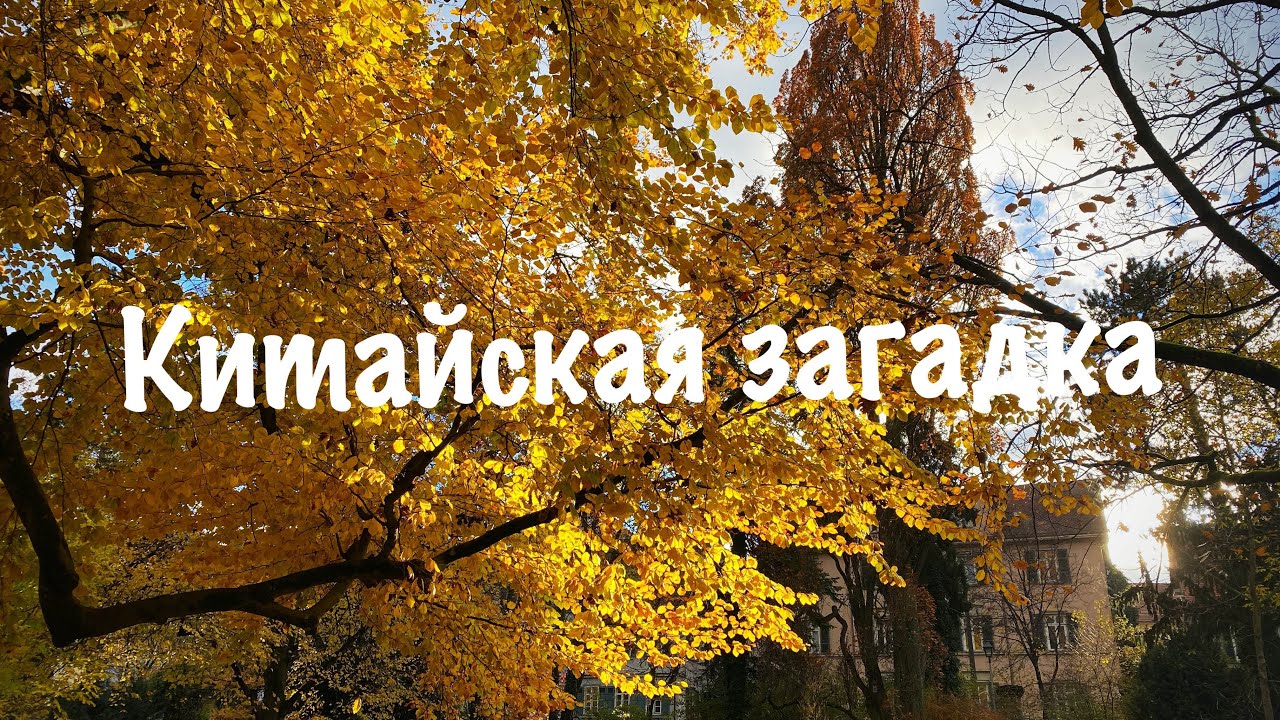 Загадки про китай