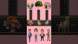 Right Position Dog 🐕 Monkey🐒 Fish 🐠 Tools Items Shorts, Funny VFX Shorts #shorts #ytshorts