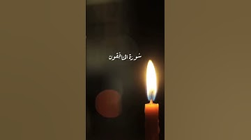 سورة المنافقون #surah   Al-munãfiqoun- #surat  Al-munafiqun #قرآن #قران_كريم #قران #quran #coran