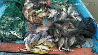 Mabuk Mancing Madiun Tim wiu wiu sangiran