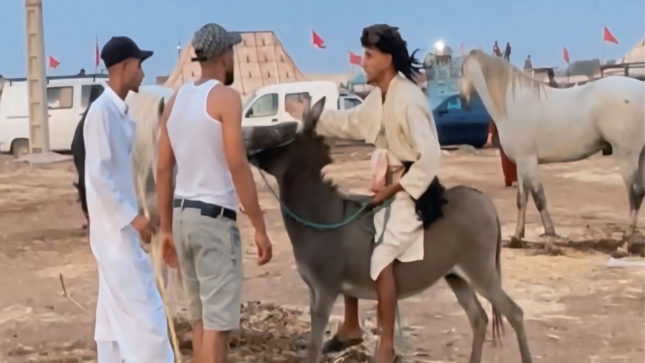 بغي نخيل معاكم في محرك ولا رونها بزاااف هد خونا فرفار😂😂😂