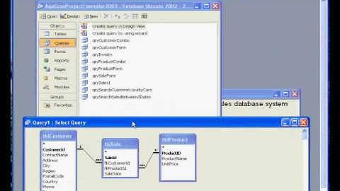 Microsoft Access ® 2003 Sales Invoice: 2 Query
