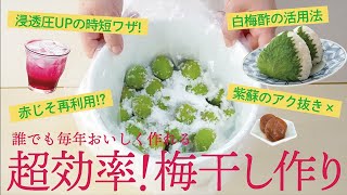 超効率 梅干し作り 無駄なし失敗なしのコツ満載 これなら毎年漬けられる 私のいつもの梅干し作り 梅干しの漬け方 Youtube