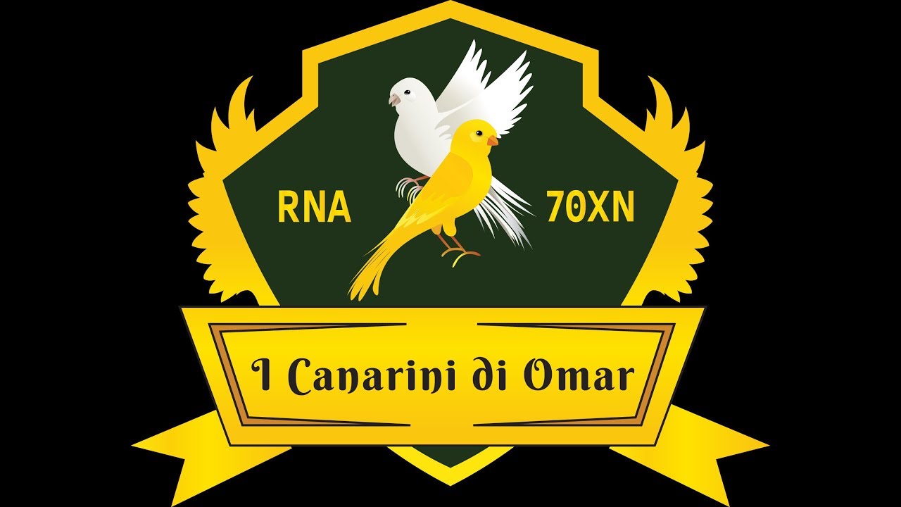 Il periodo riproduttivo dei canarini, accessori, metodi, consigli, curiosità