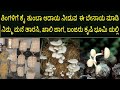 ತಿಂಗಳಿಗೆ ಲಕ್ಷಾಂತರ ಆದಾಯ / ಅಣಬೆ ಬೆಳೆ ಬೇಸಾಯ ಮಾಡಿ MUSHROOM FARMING / Mushroom Terrace  CULTIVATION /