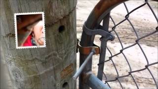 How to hang a livestock gate or tube gate