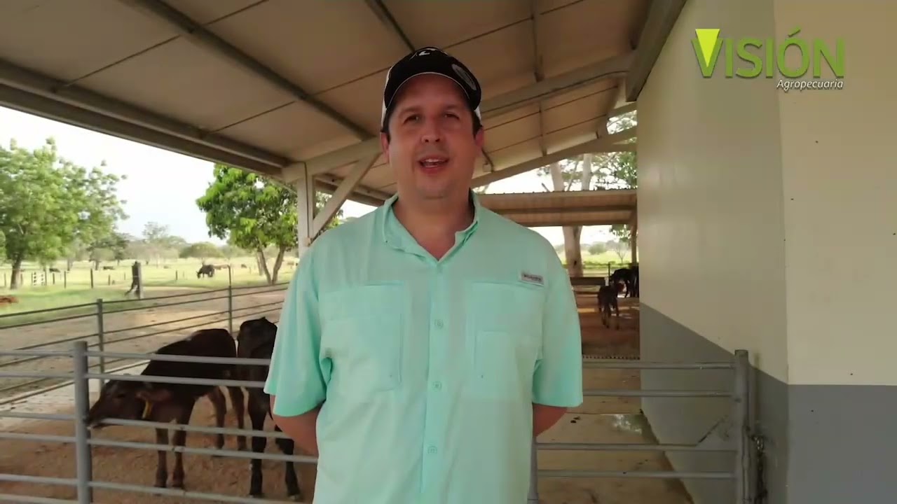 Agroeures Lechería Especializada en el Trópico Bajo. #Ganadería a otro nivel #Montería Cordoba