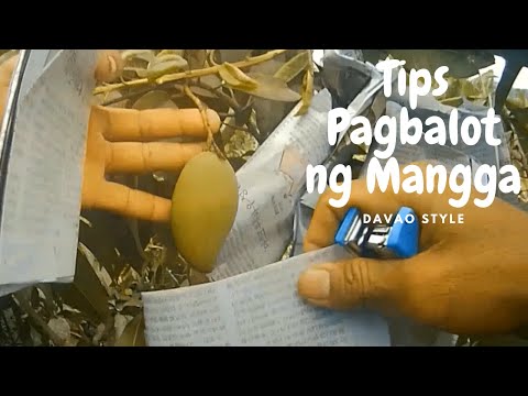 Video: 3 Mga Paraan upang Magsuot ng isang Balot na Balot