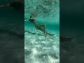There are no cliffs to climb but instead head straight into the clear sea and swim #swim #beach #sea