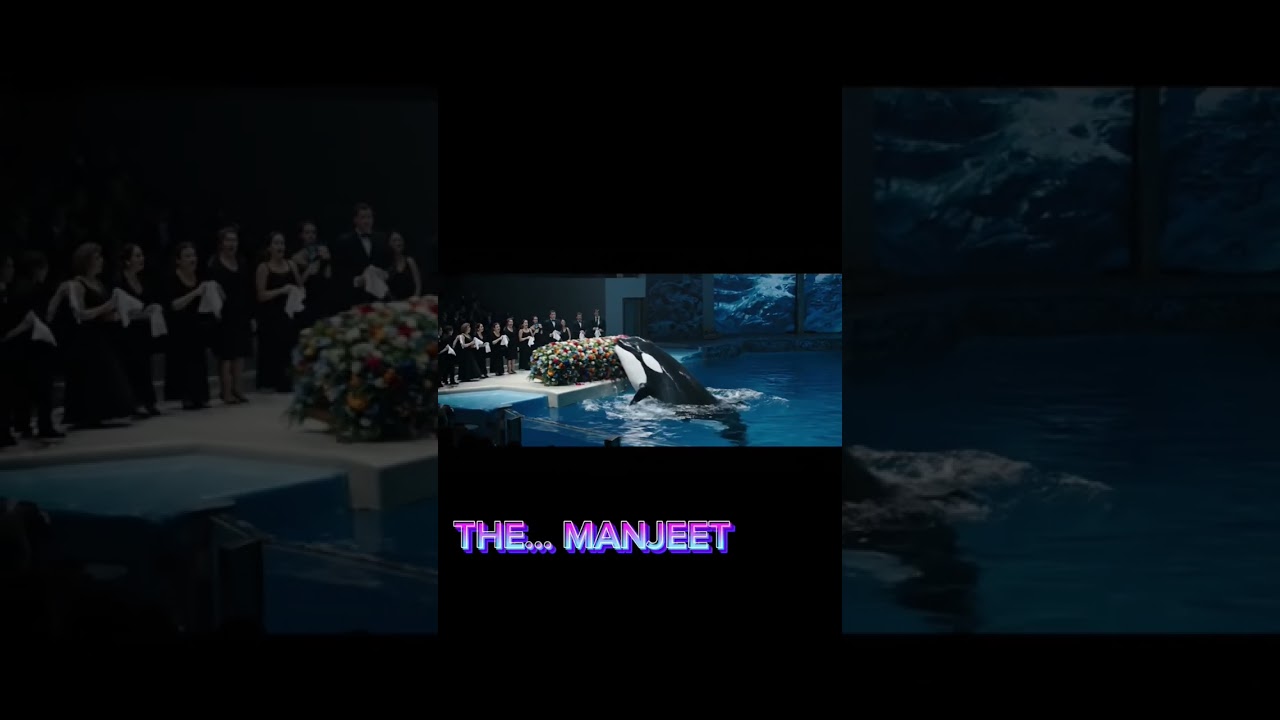 "🐬 Dolphin Jumps Out of Water – Must Watch! 🌊 