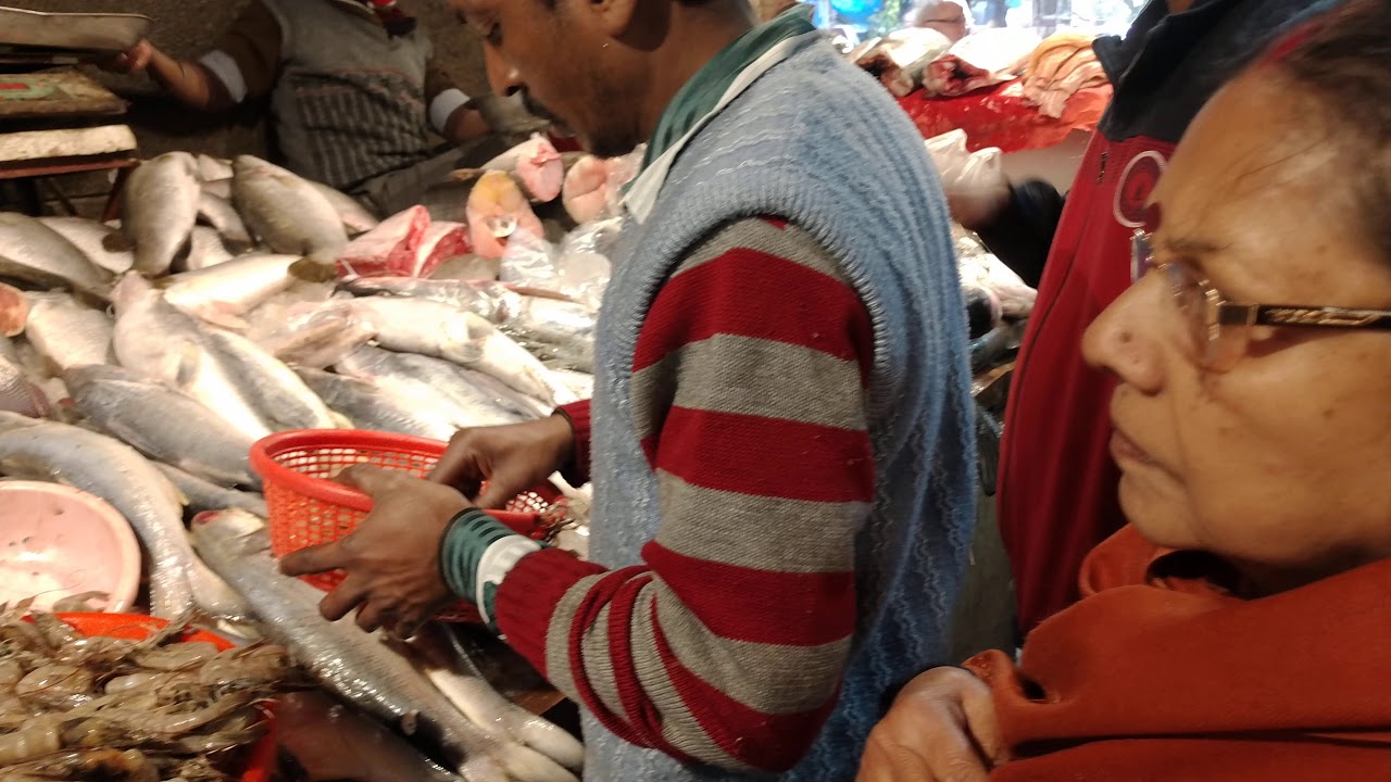 Fish Market, Chittaranjan Park Market Number 1, Delhi YouTube