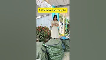 Món Quà Ý Nghĩa Chị Vê Tặng Bạn Thân | Đám Cưới Linh Barbie - Vê Vê Travel #veve #viral #trending