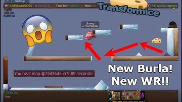 Transformice - Gmwp - WORLD RECORDS #2