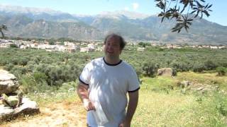 Learn Greek: Top Ten Greek Words for Tourists