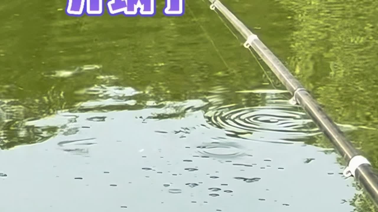 窝子的鱼星，就像煮沸的开水一样，看着就激动人心 #原来钓鱼才是抖音运动顶流 #2024dou来钓鱼 #夏天就是要去钓大鱼 #钓鱼的乐趣只有钓鱼人懂 #谷麦钓