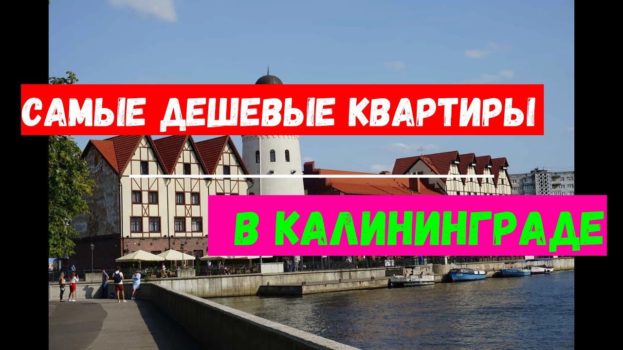 Осаго калининград дешево