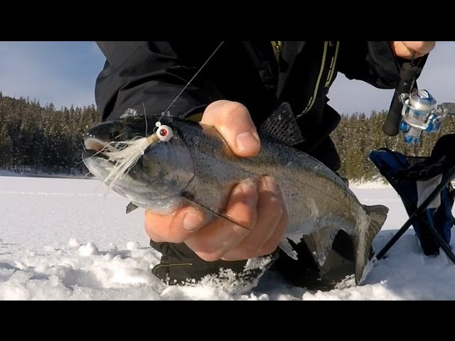 Understanding Brook Trout Underwater Behavior Ice Fishing Spoons and Jaw  Jacker 