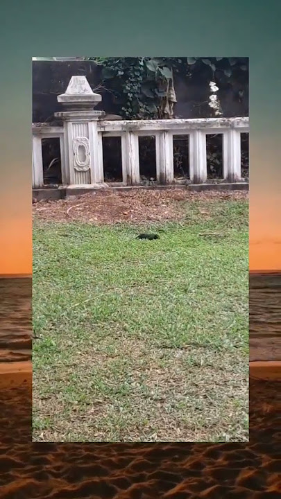 musuh terlihat😂🤣#trending #funny #fyp #trendingshorts #meme