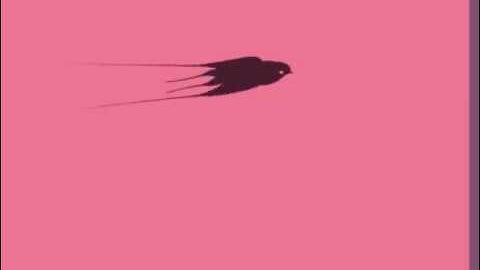 Boot Animation Preview: Swallow