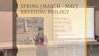 Ground Squirrel Life Cycle