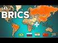 Brics  ils veulent renverser loccident mais en fait pas tous