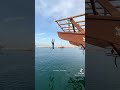 شلوني صور شلوني صور