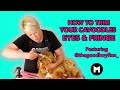 How to trim your cavoodles eyes and fringe