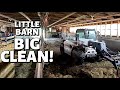 THE BIGGEST LITTLE CLEAN OUT!  Vlog 292