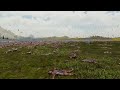 CAN 100000 ROMAN ARCHER OVERPOWER 2500 ANNIE OAKLEY?