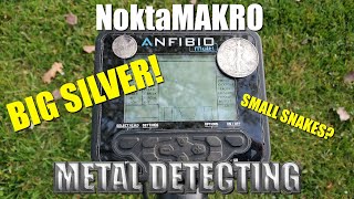 Metal Detecting:  NoktaMakro Simplex and Anfibio - Old River Crossing
