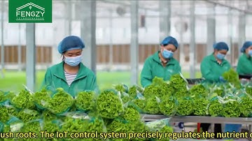 Step into the Future of Farming: Automated Greenhouses with IoT Control and Efficient Cultivation 🌱
